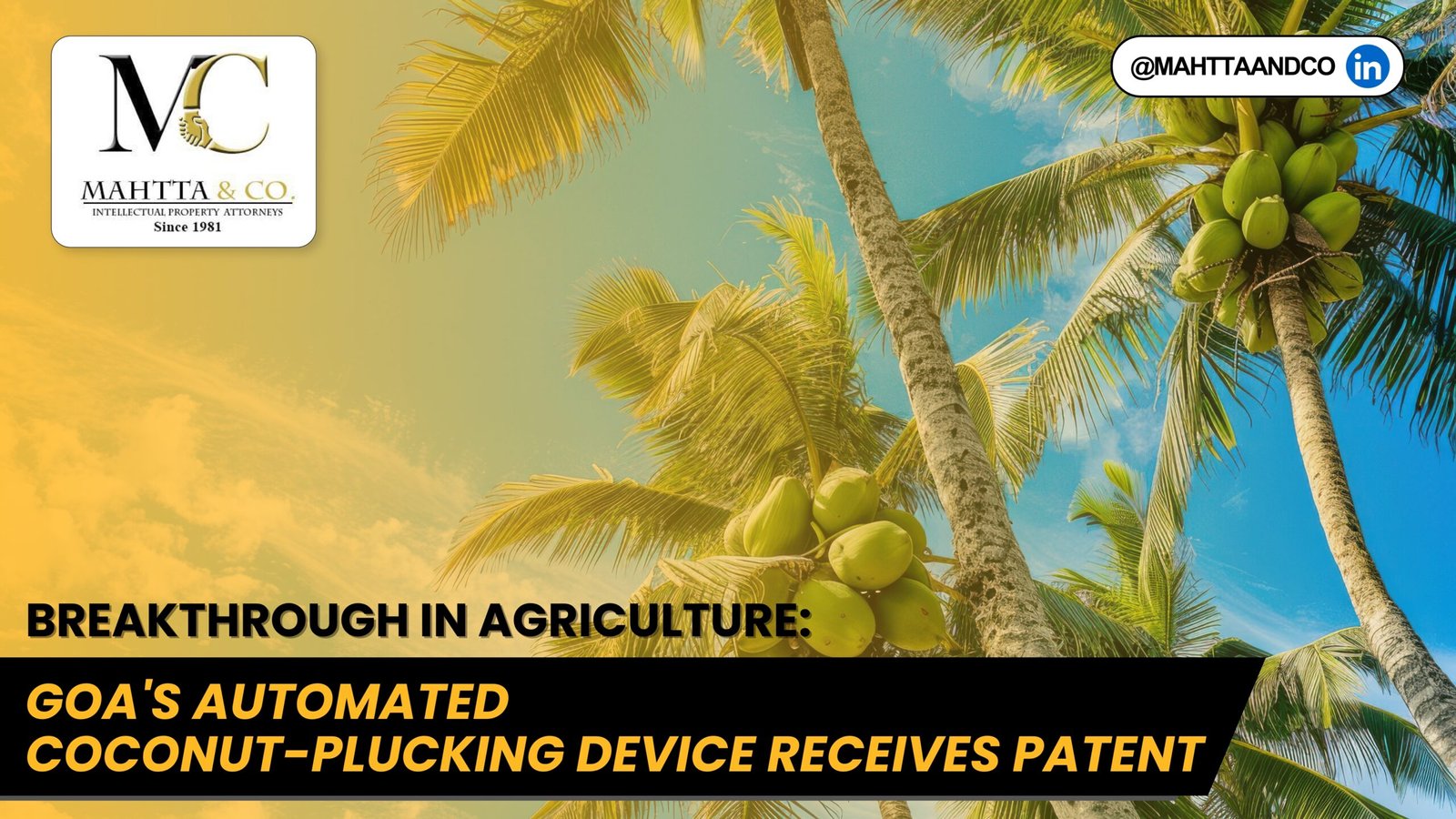 Read more about the article Breakthrough in Agriculture: Goa’s Automated Coconut-Plucking Device Receives Patent